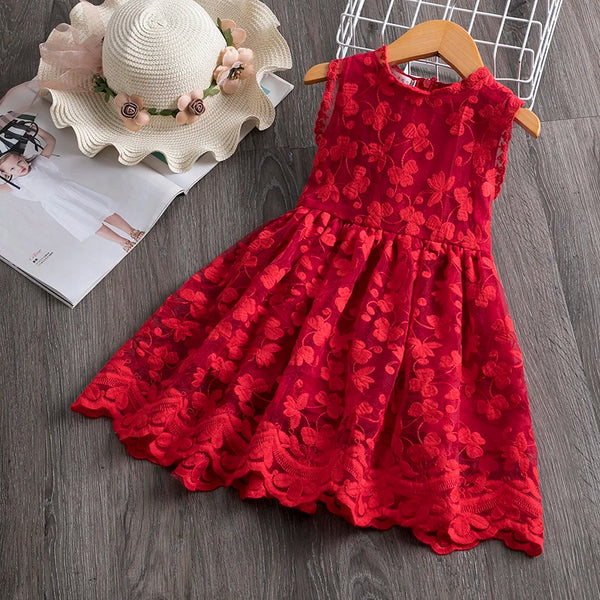 Pretty Lace Dress