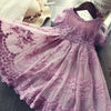 Pretty Lace Dress