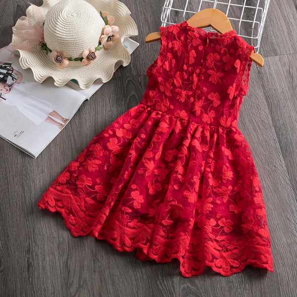 Pretty Lace Dress