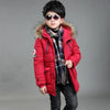 Cotton Padded Jacket